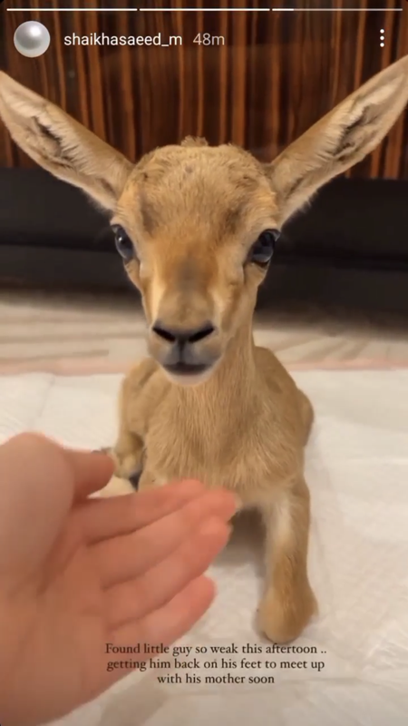 8B89B432-A321-4654-89E5-8B6C2D408AB3