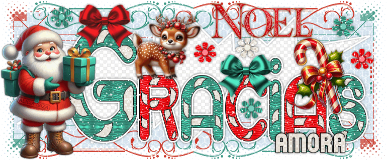 Gracias Santa Claus amora