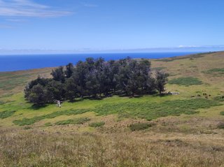 Poike:Ahu Kiri Reva-Papa u'i hetu'u-Ana o Keke-Té Ahu Moai Tea-Maunga - Isla de Pascua - Chile (30)