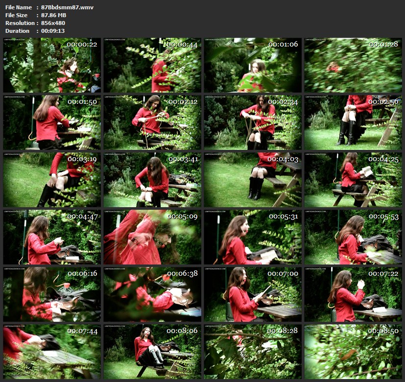 87Bbdsmm87.wmv