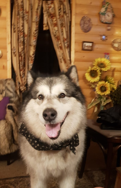 B943C440-E7F2-4DCD-811E-05390E29A6CD