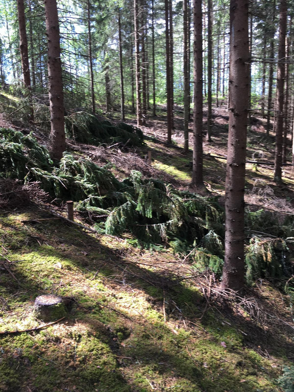 B1F799BB-D705-456D-8C33-D538FF56FCC8