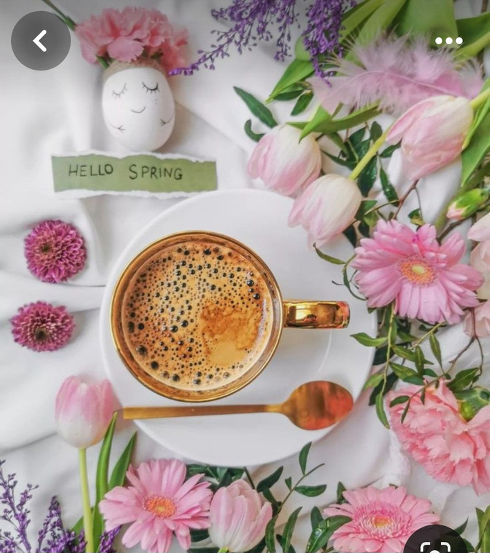 Screenshot_20240428_173602_Pinterest