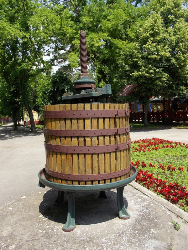 DSCN0285