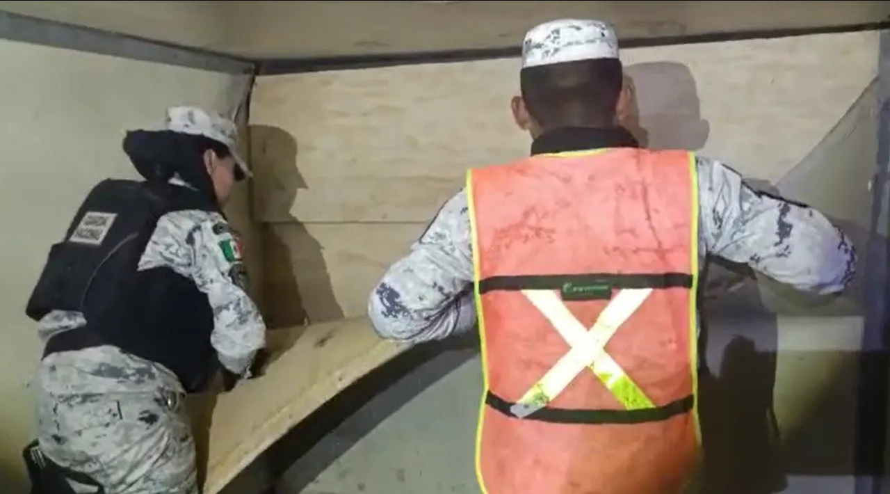 Descubren paquetes de marihuana en un tractocamión en Nuevo León