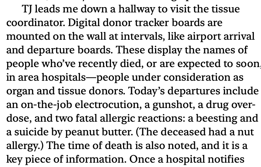 Screenshot 2025-10-20 at 19.19.24