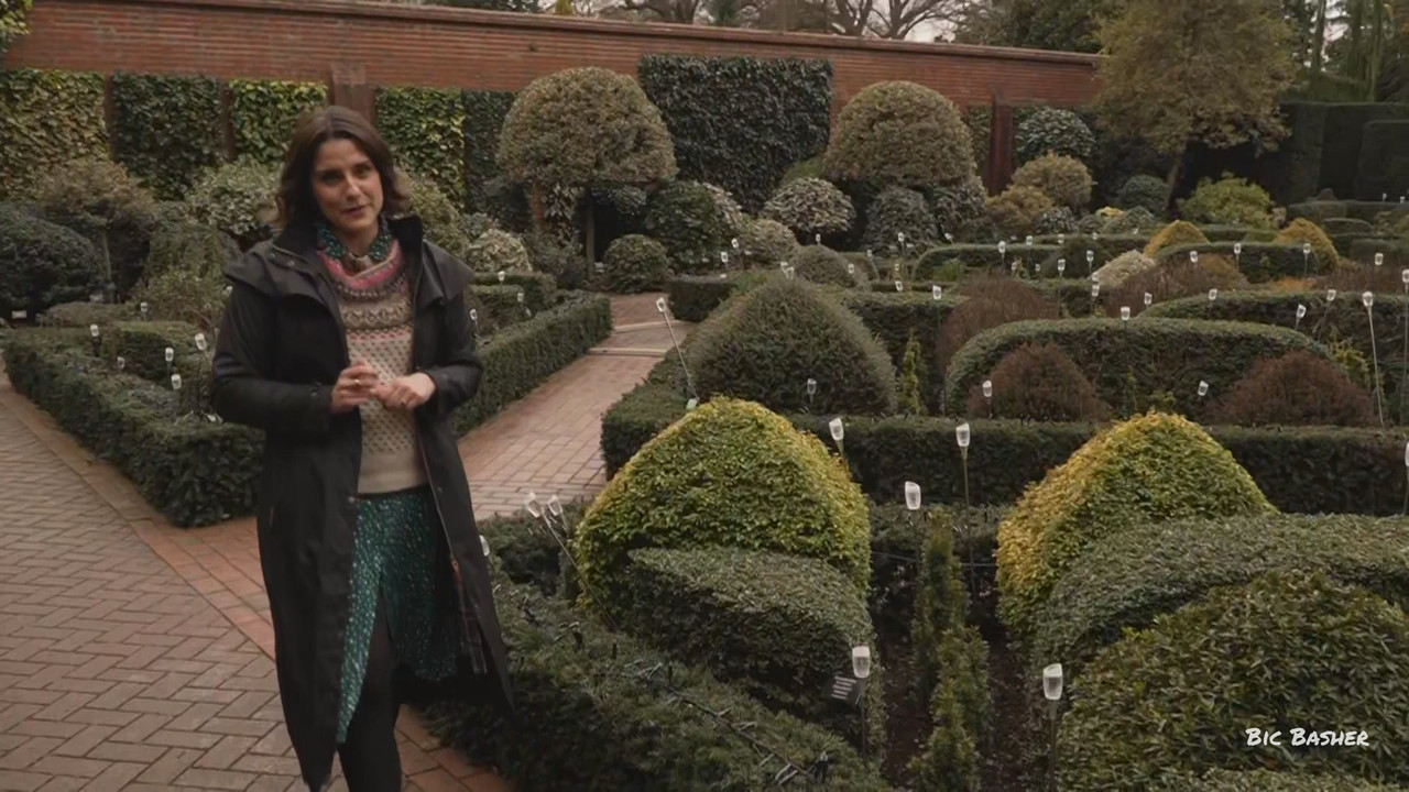 ITV Lunchtime News 20251215 13301355 ts snapshot 18 46 866
