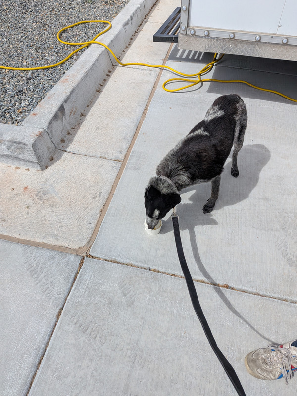 PXL 20260425 211705302