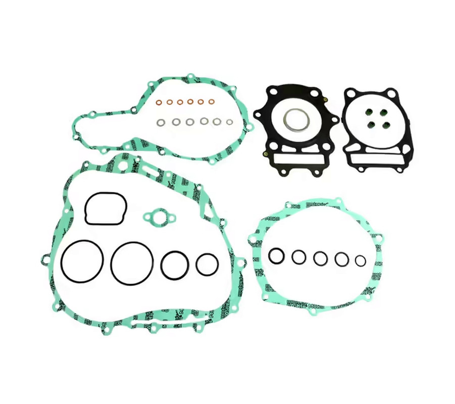 Dichtungssatz komplett DR 350