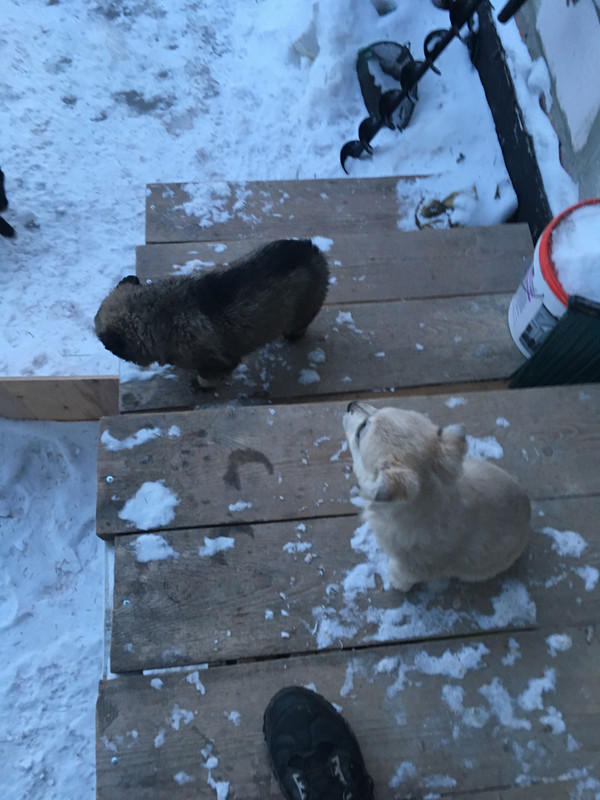 D58AAD38-47A0-41E3-B342-F5D6DEACE4C2