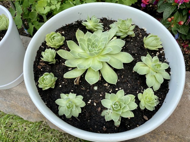 [Image: CDD34522-0-C13-4-D5-E-ABB8-6-E2-BDE6-DACE8.jpg]