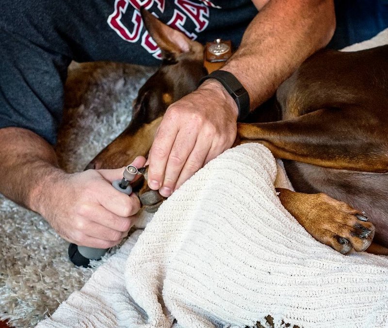 pet nail grinder