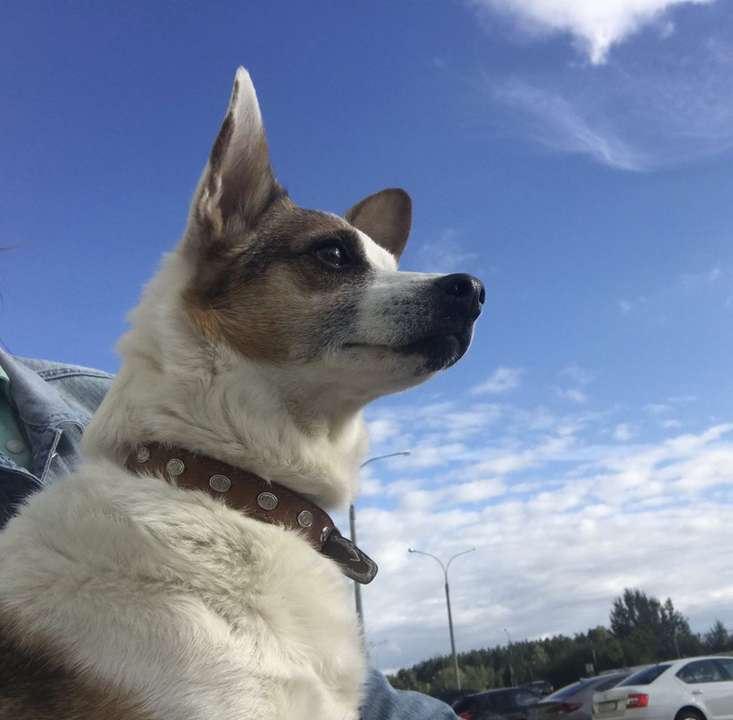 BE0E376F-BEA2-4F0D-B1C2-8CE8B54E22CA