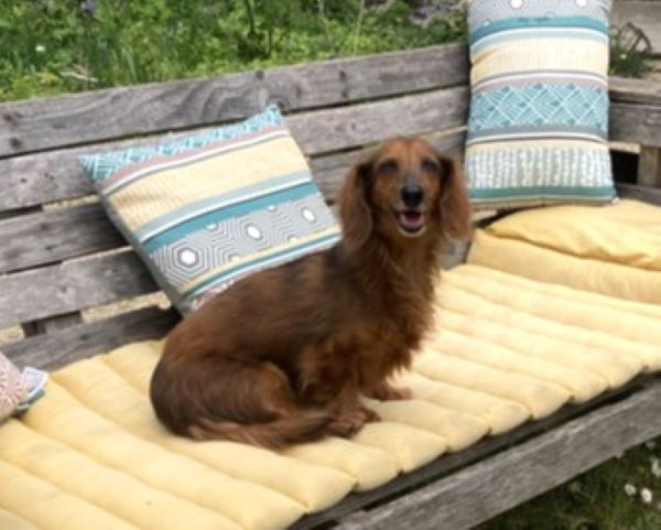 [Image: Sparrow.jpg]