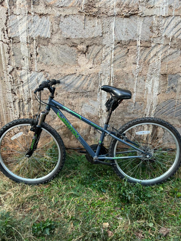 24"Switch Apollo