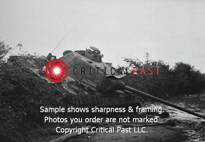 I Pz Rgt 3 Normandy (10)