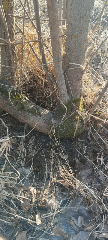 IMG 20260404 161829
