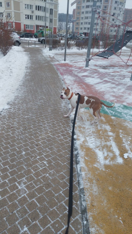 E8A0469E-E4D4-4264-A403-DCE9F7A7A003