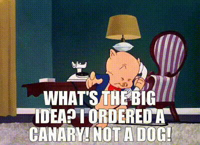 27ebd85f-bc32-4535-ac59-0215387f9850-text.gif