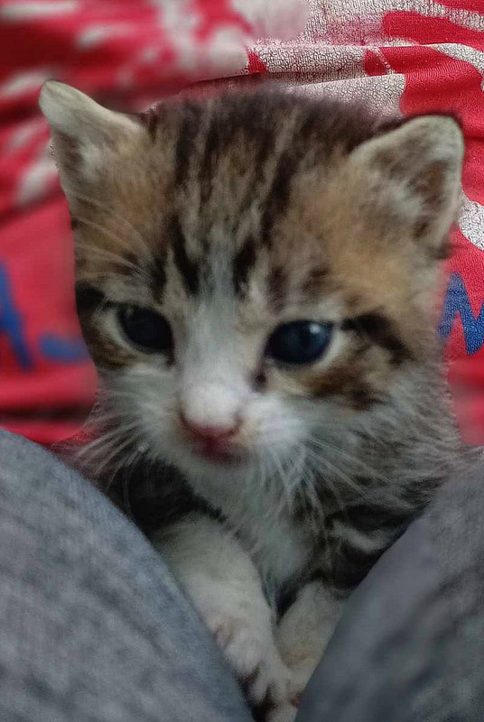 449512794_10228847489389434_5514670923128598697_n