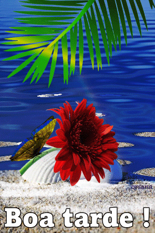 a311d805dfc26fdd50d3f3a71ddce0ee.gif