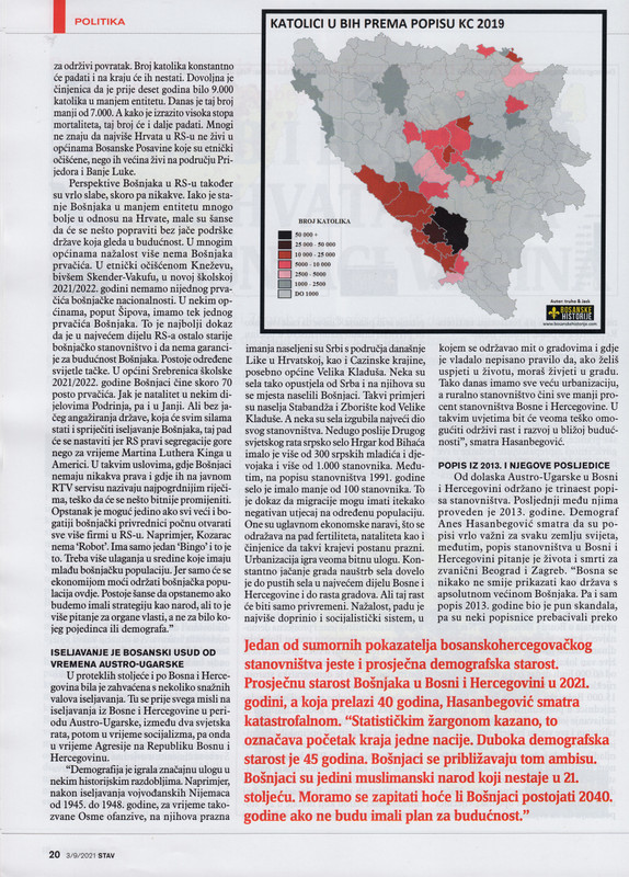 Anes Hasanbegović (3)