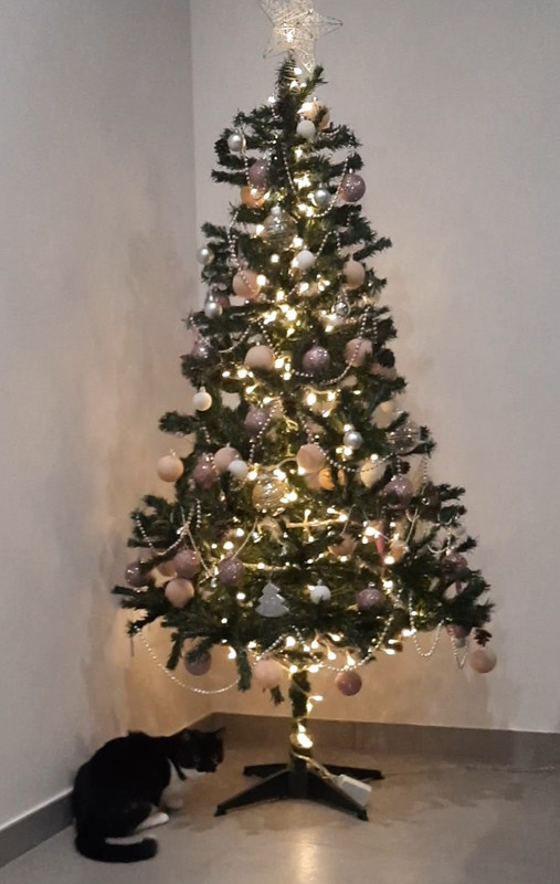 Screenshot_20221210_214740