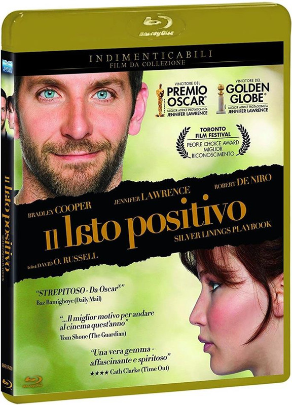 Il Lato Positivo (2012) BDRip 576p ITA ENG AC3 Subs