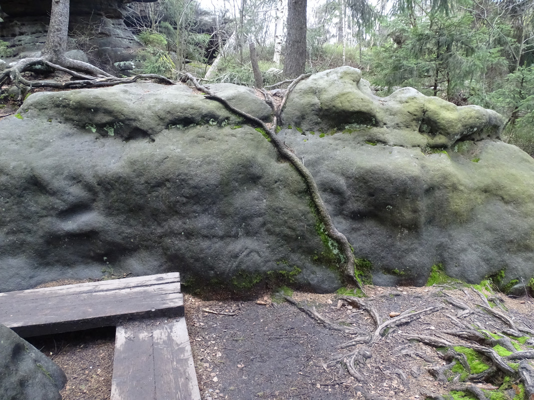 03.05 - DSC01741 (irycki)