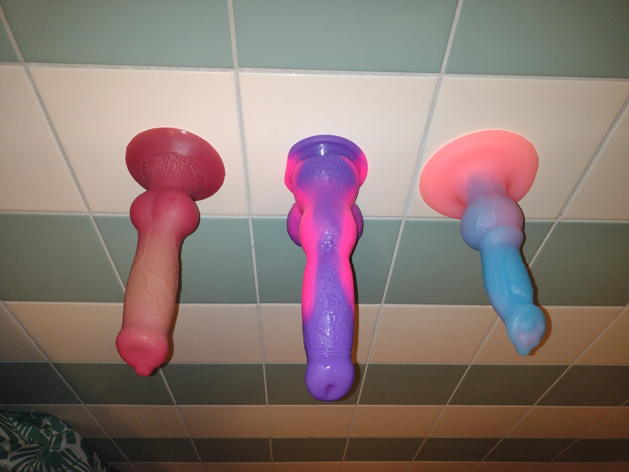 IMG 20251109 170420603