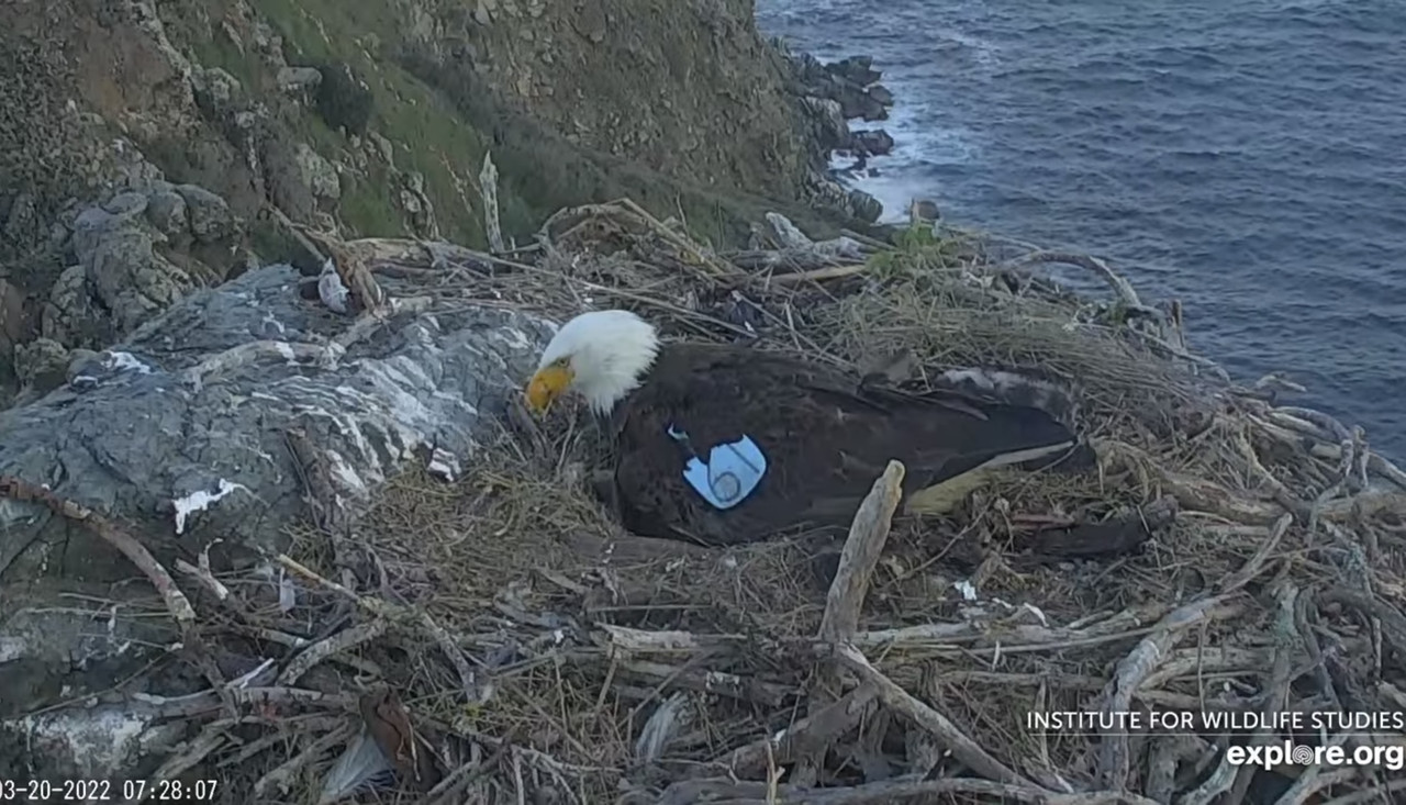 88A22D0F-BC8A-4B22-B3ED-96260E27088B