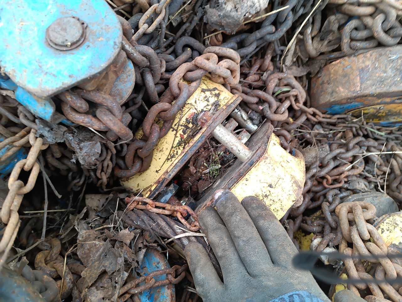 IMG 20251216 133516 421