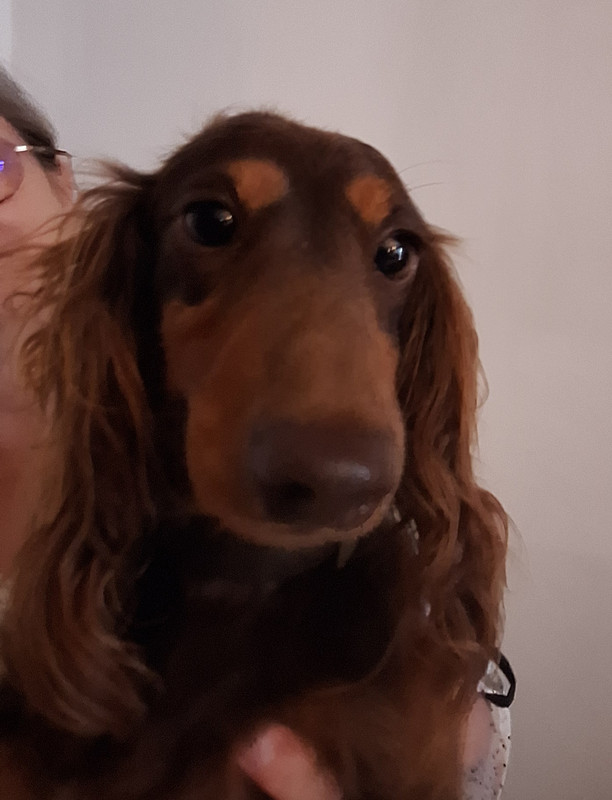 [Image: 20250821-155539.jpg]