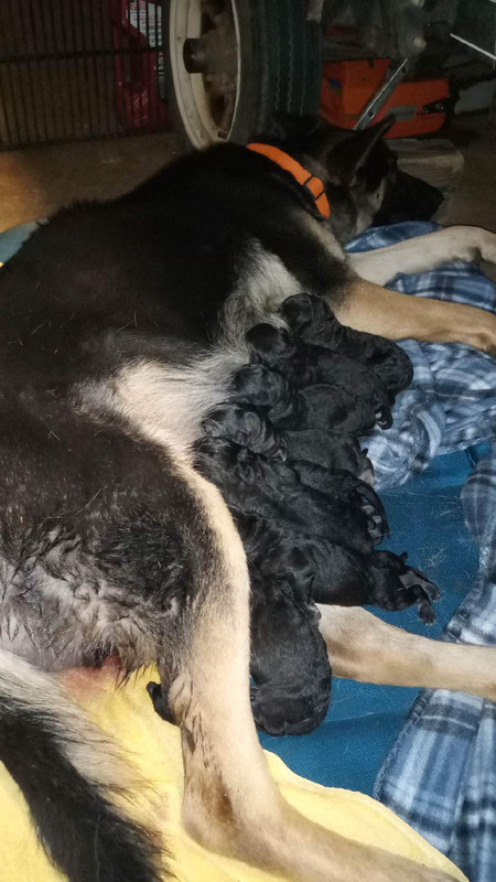 32641324-784B-4E35-A393-D3C9E96B5701