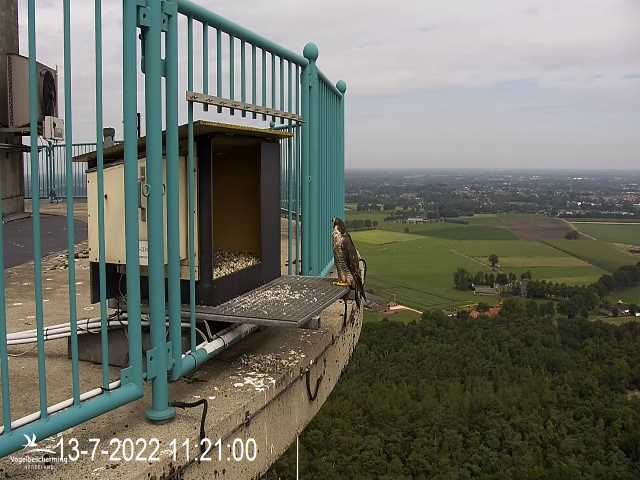 campics © VWGGemert vanaf 1 juli 2022 - Pagina 5 6