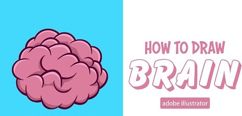 Brain Drawing in Adobe Illustrator for Beginners – step by step
