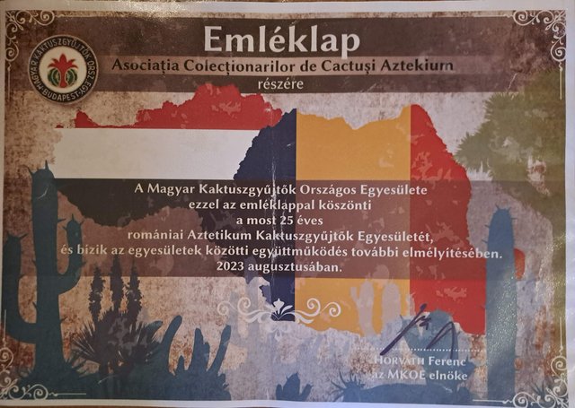 Kép