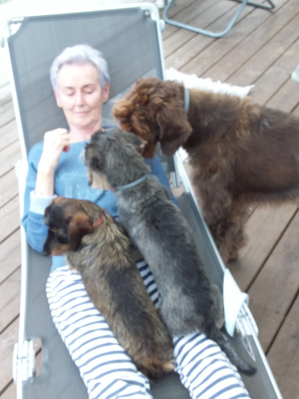 [Image: 20210902-152011.jpg]