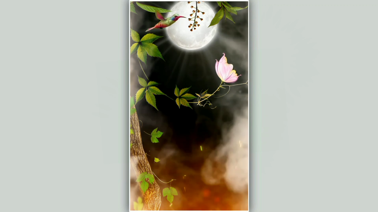 Animation effect template video background
