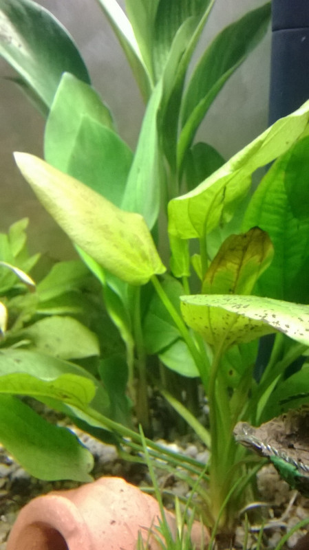 WP_20140217_005 (FILEminimizer)