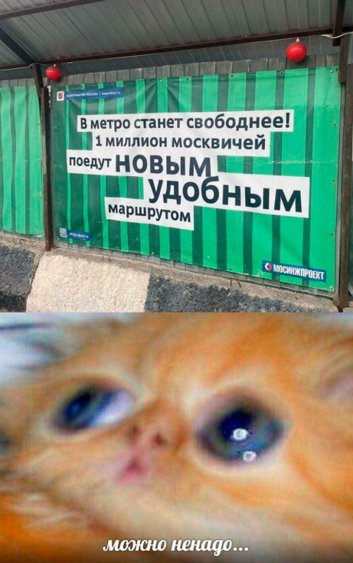 17216438.jpg