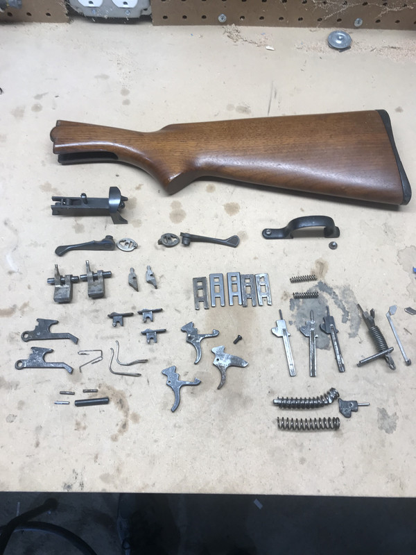 A0593BBA-A0D1-43D3-B496-0173349C11B6