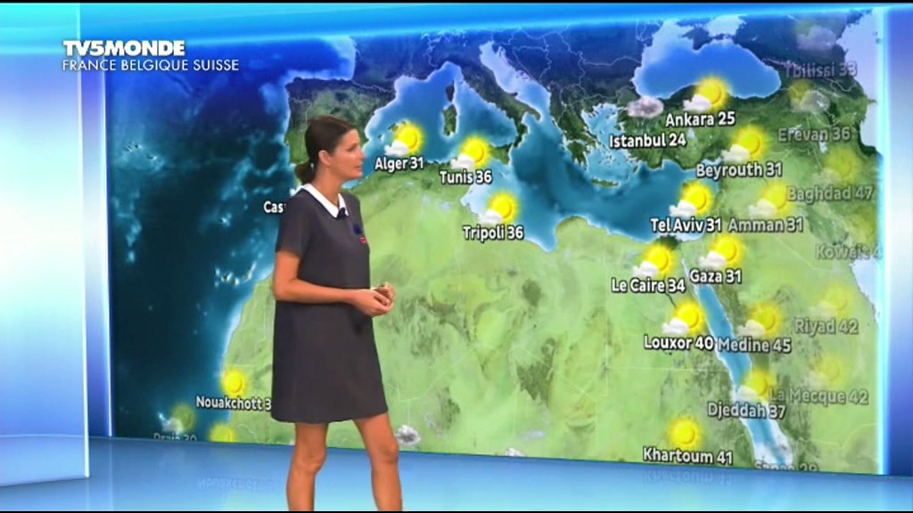 Sandrine Scourneau 290817.mp4_snapshot_01.32_[20