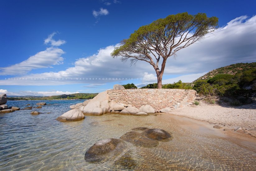Corsica-Beach.jpg