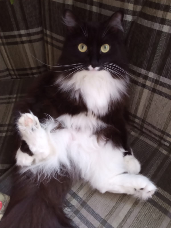 97f9e1f4-92fa-4cce-b7c1-ab8cc5184a25