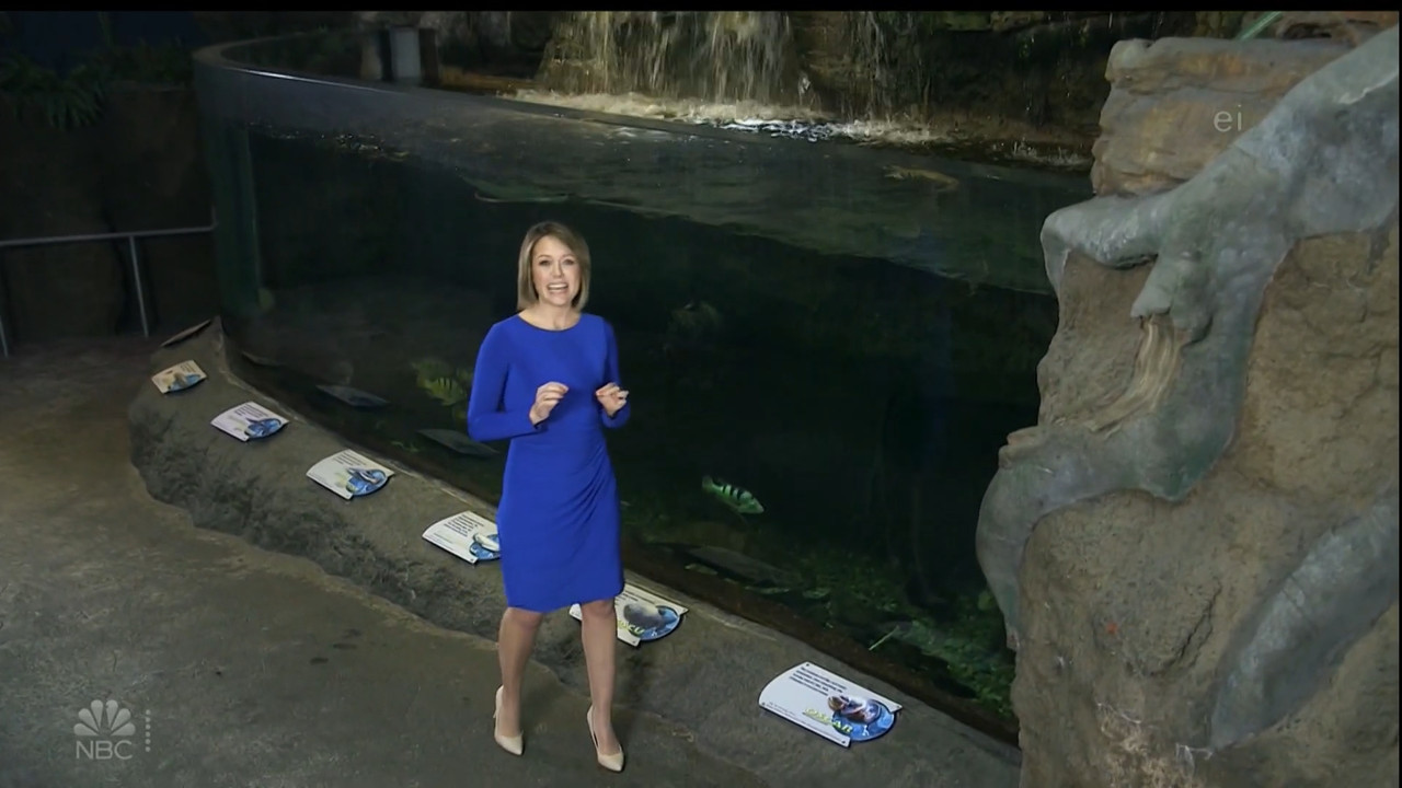 11.07 - 15.00.00 - Earth Odyssey With Dylan Dreyer. The world's smart....ts_snapshot_00.14.42.695