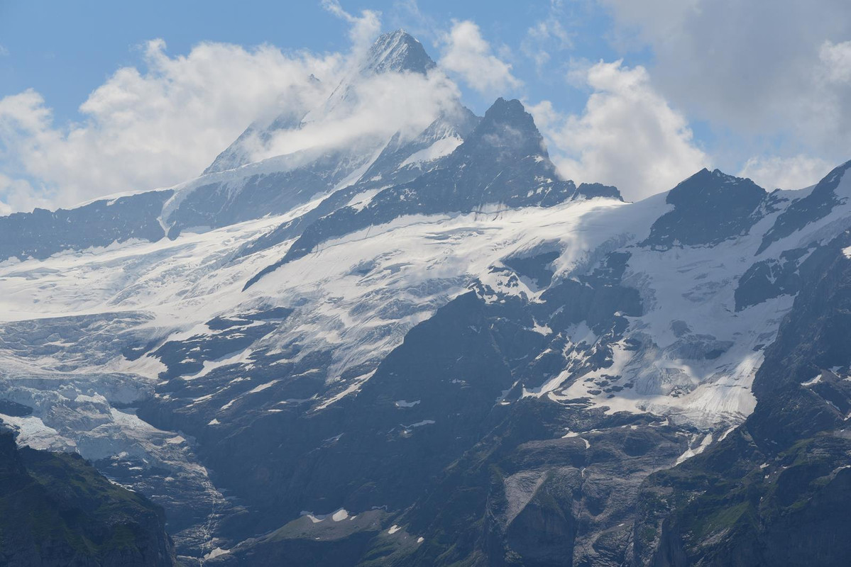 Huyendo del COVID a los Alpes (2020) - Blogs de Suiza - De casa a Grindelwald (Zona de Interlaken) (9)