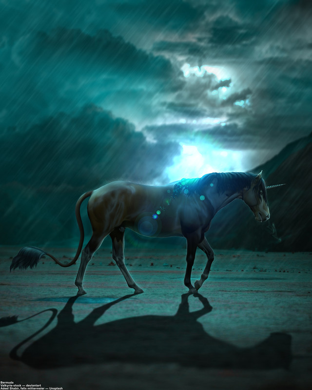 Untitled465 20260128182247