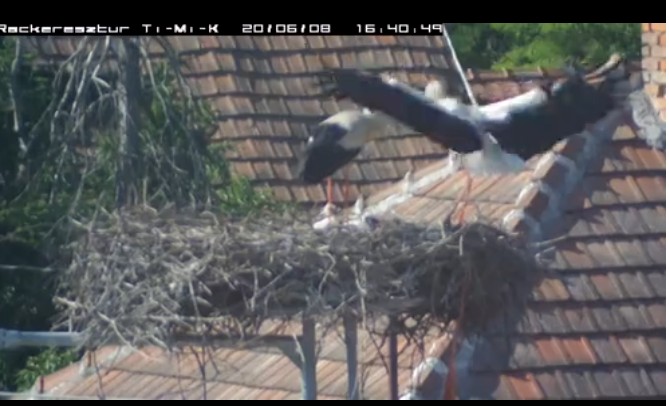 2020-06-08_164746érk