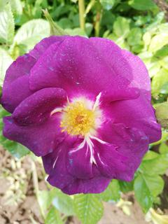 IMG_20190504_111706